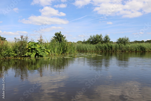 Beautiful view over Dutch water landscape during the summer with a beautiful blue sky and white clouds.