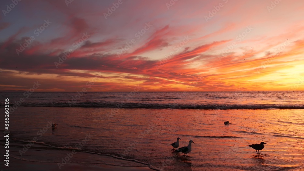 California summertime beach aesthetic, golden sunset. Vivid dramatic clouds over pacific ocean waves. Santa Monica popular resort, Los Angeles CA USA. Atmospheric moody purple evening sundown in LA