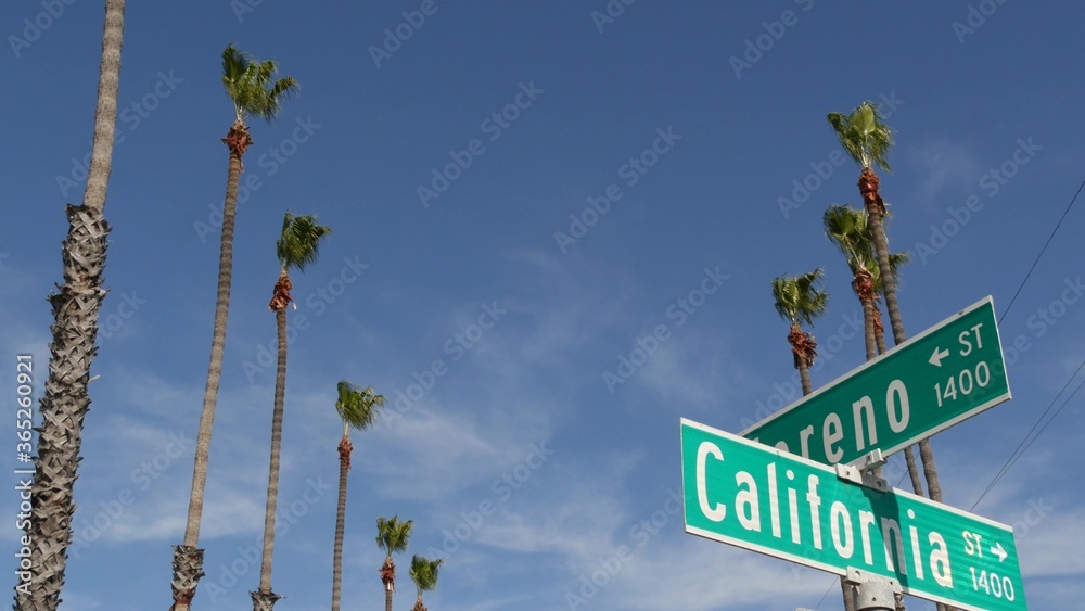 Fototapeta premium California street road sign on crossroad. Lettering on intersection signpost, symbol of summertime travel and vacations. USA tourist destination. Text on nameboard in city near Los Angeles, route 101