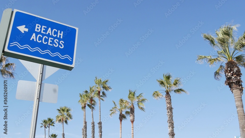 Fototapeta premium Beach sign and palms in sunny California, USA. Palm trees and seaside signpost. Oceanside pacific tourist resort aesthetic. Symbol of travel holidays and summertime vacations. Beachfront promenade