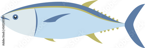 Tuna fish isolated vector