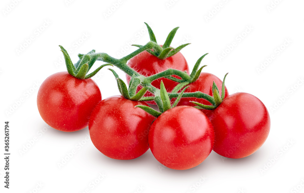 Cherry tomato branch isolated on white background Cherry tomato branch isolated on white background