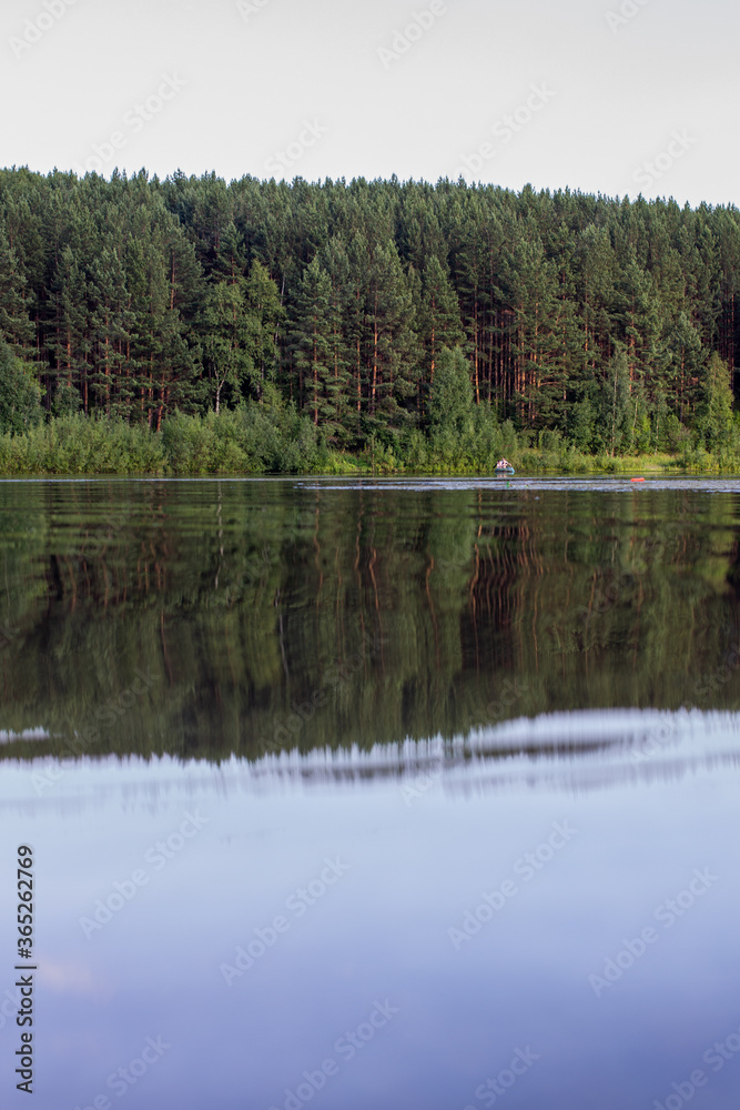 Reflections on the Coniferous Forest on a Wilderness Lake.