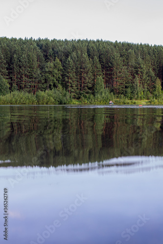 Reflections on the Coniferous Forest on a Wilderness Lake.