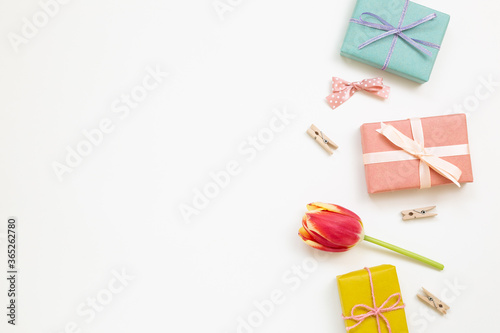 Colorful gift boxes with red tulip flower isolated on white background. Flat lay, top view