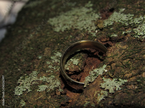close up of a rusty nail