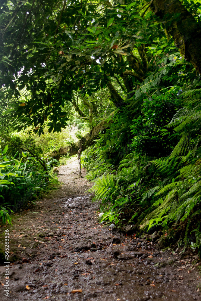 Açores; Azores