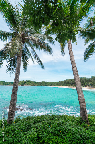 Two palm trees on a background of a blue lagoon and a snow-white beach backlit by a sun