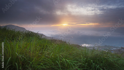 green grass and sunrise in high mountain