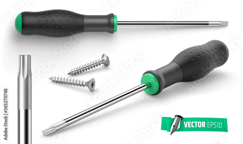 Tournevis torx et vis vectoriels sur fond blanc