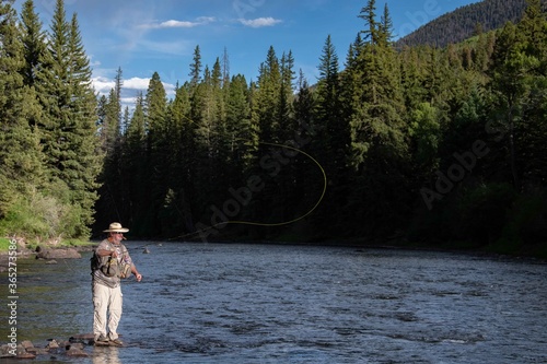 A man fly fishing in the mountains on a wild trout stream.