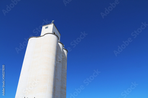 tall community co-op cooperative agricultural farm feed grain and corn silo building in a small town in rural heartland america perfect for farming and agriculture stock imagery