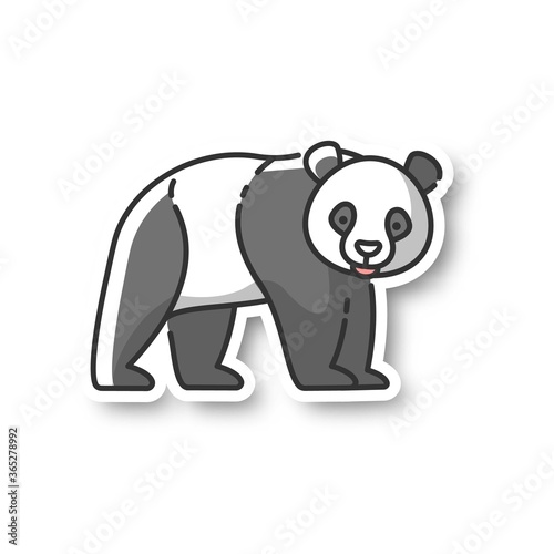 Panda bear patch. Native chinese fauna, common asian wildlife. Zoo mascot, oriental forest inhabitant RGB color printable sticker. Black and white bear vector isolated illustration