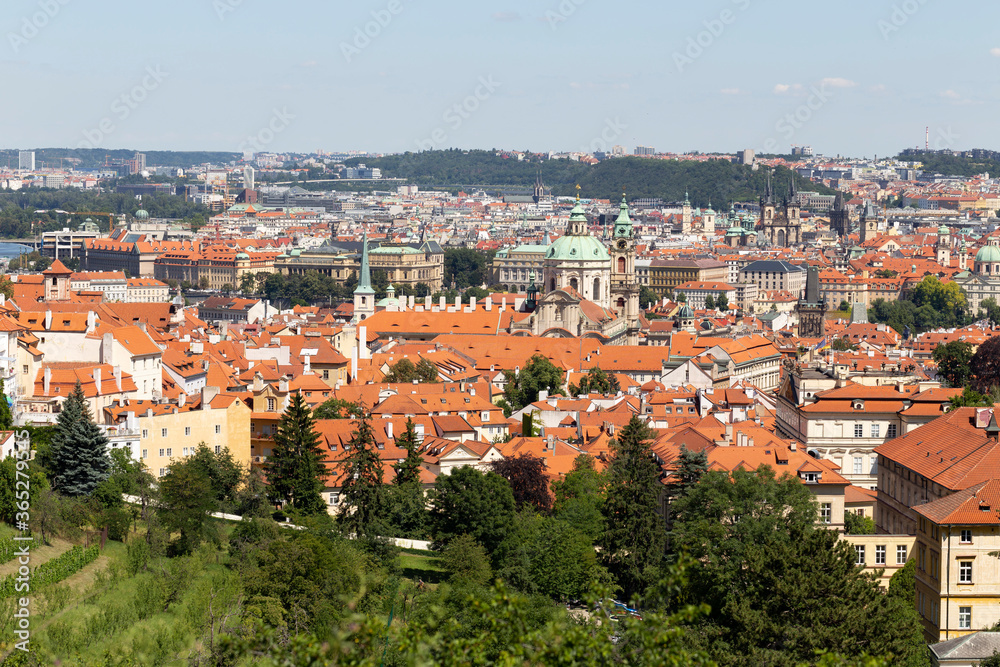 Prague City with green Nature from the Hill Petrin, Czech Republic