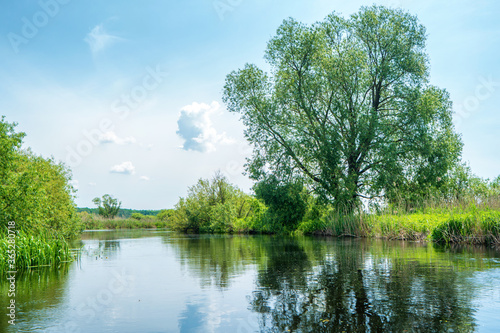 River landscape and green forest with trees blue water clouds on sky