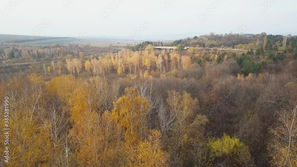 Drone flight over fall forest. Autumn leaves and trees. Orange, Red, Yellow and Green beautiful scene. Drone flight over fall forest. Autumn leaves and trees. Orange, Red, Yellow and Green beautiful scene.