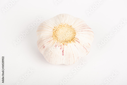 Garlic clove with shell and whole garlic on white background