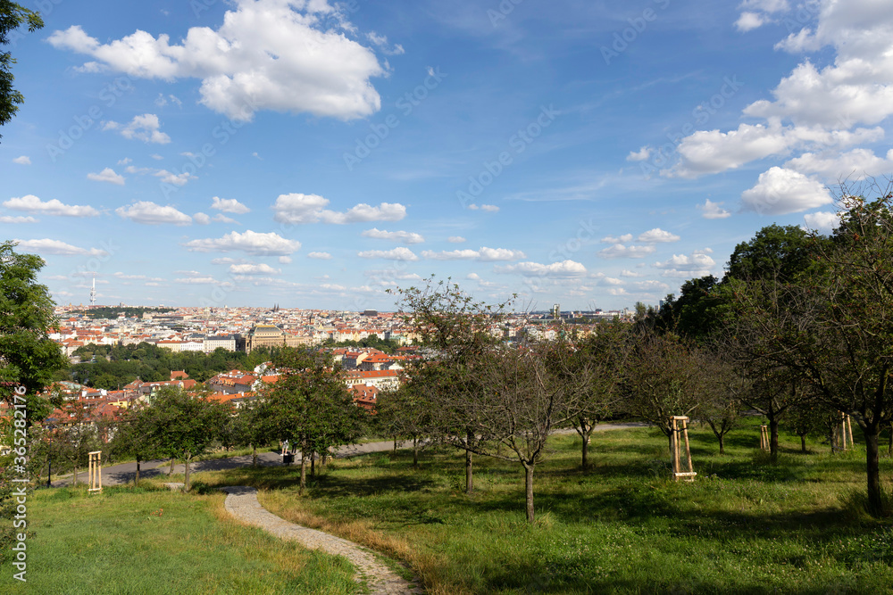 Prague City with green Nature from the Hill Petrin, Czech Republic