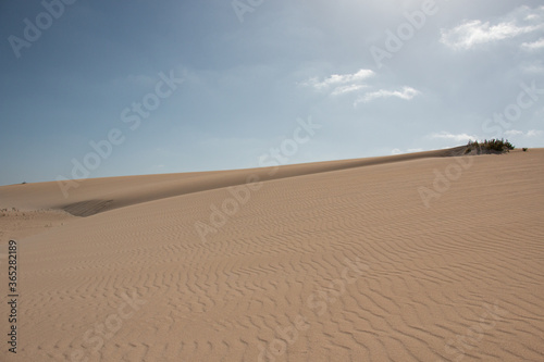 The Sand Dunes of Corralejo. Desert area near dune beach in Fuerteventura. 