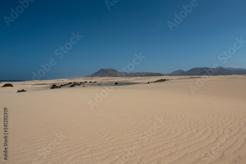 The Sand Dunes of Corralejo. Desert area near dune beach in Fuerteventura. 