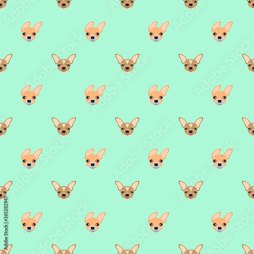 Dog seamless pattern, Chihuahua on blue background, Dog icons.  © PUPIL MINER