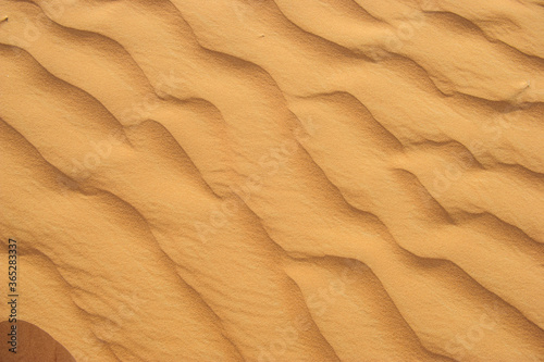 Picture of desert waves.