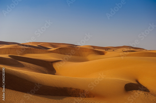 Picture of yellow desert in front of blue sky.