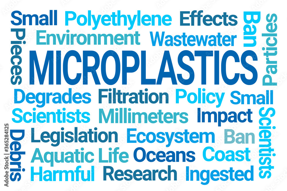 Microplastics Word Cloud on White Background Microplastics Word Cloud on White Background