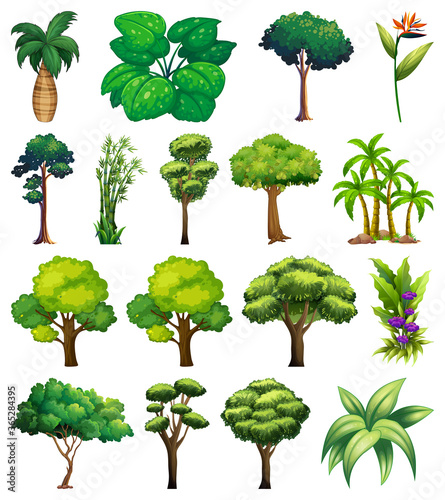 Set of variety plants and trees