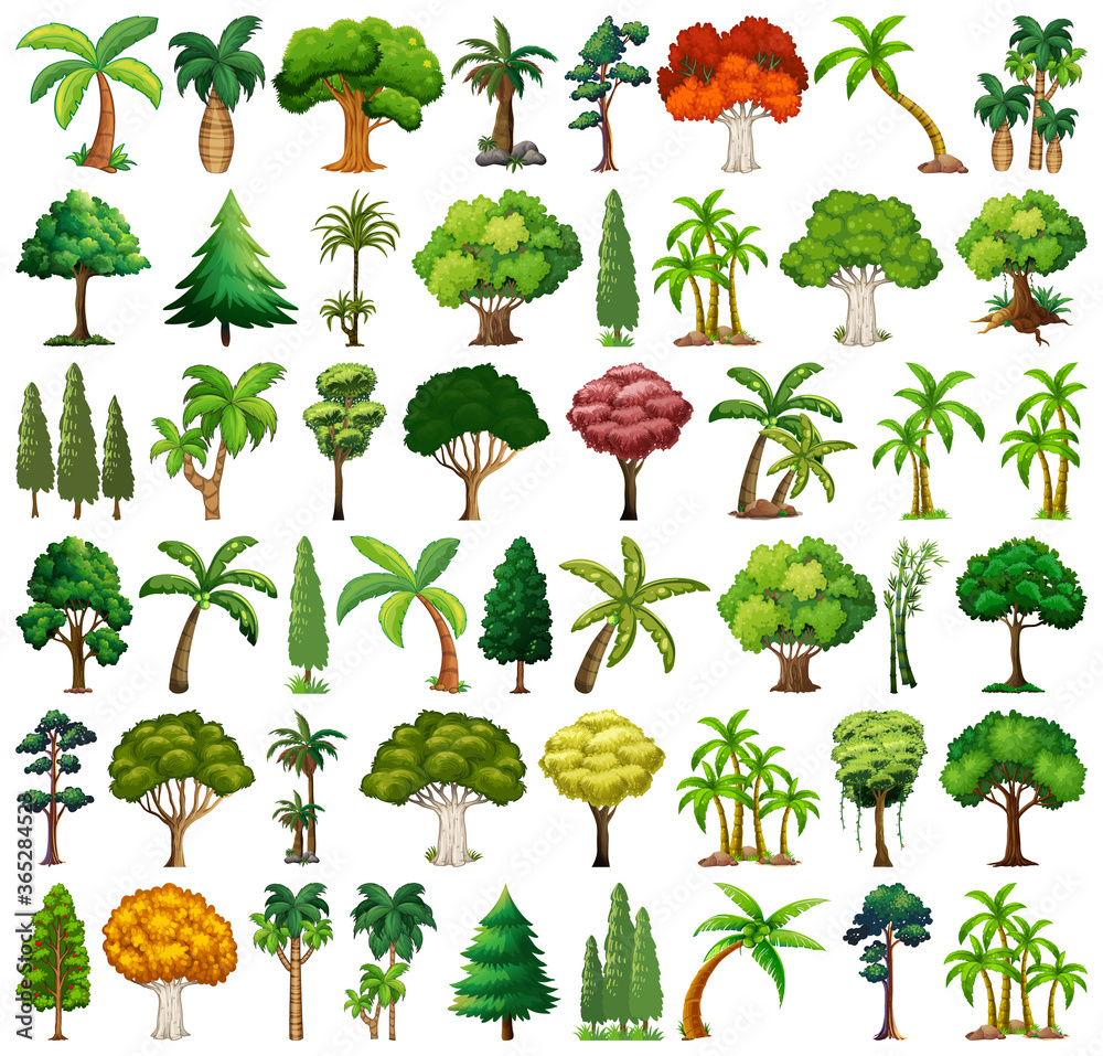 Set of variety plants and trees Set of variety plants and trees