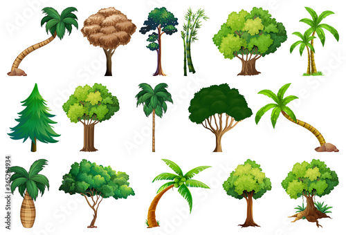 Set of variety plants and trees