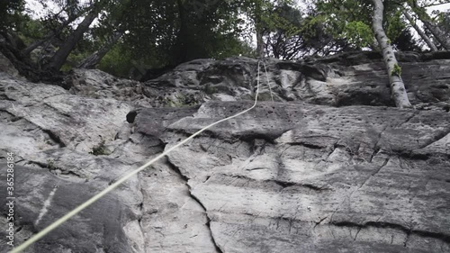 Wallpaper Mural Bockstor Climbing Area Close To Interlaken Switzerland - Climbing Rope Drop From The Peak Of Rocky Hills Surrounded Above With Tall Green Trees - Close Up Shot Torontodigital.ca