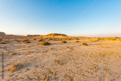 Negev Desert in Israel