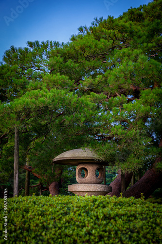 石川県金沢市兼六園の松と徽軫灯籠