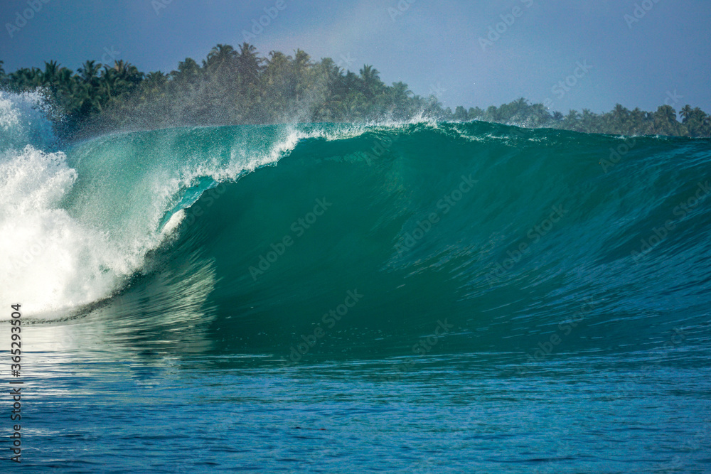 Perfect blue aquamarine wave, empty line up, perfect for surfing, clean water, Indian Ocean,  Mentawai.