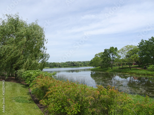 little river on a summer day