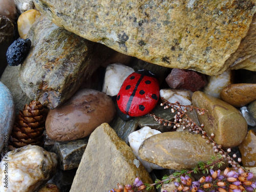 marienkäfer aus stein gesehen auf dem jakobsweg