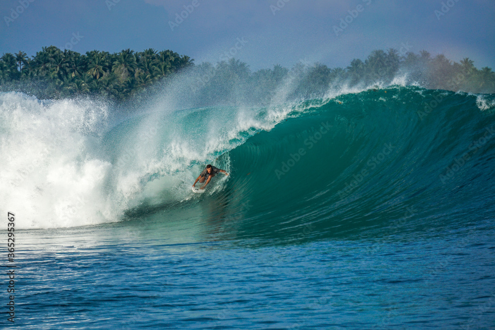 Surfer on perfect blue big tube wave, empty line up, perfect for surfing, clean water, Indian Ocean in Mentawai islands.