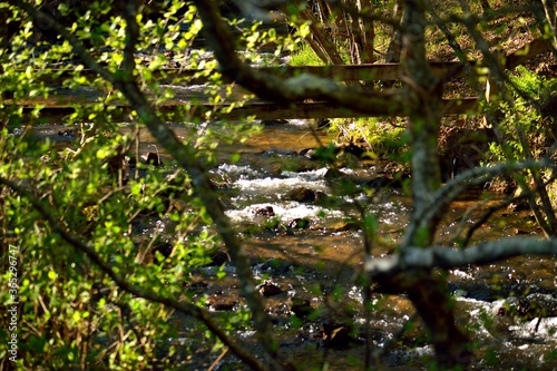 river on the mountain