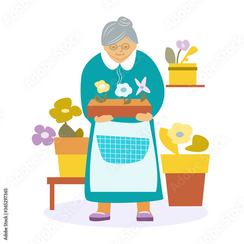 Nice old lady with indoor flowers. Vector illustration in flat style. On a white background. photo