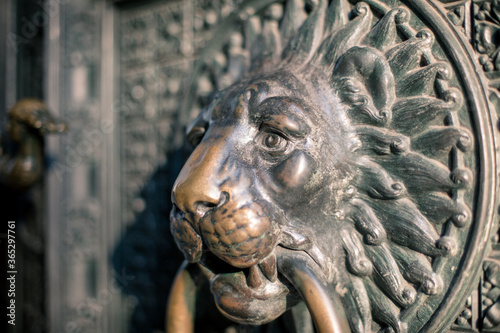 knocker Koln Cathedral, an imposing lion is the one who holds the ring