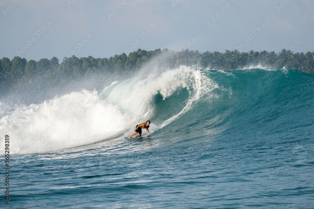 Surfer on perfect blue big tube wave, empty line up, perfect for surfing, clean water, Indian Ocean in Mentawai islands Surfer on perfect blue big tube wave, empty line up, perfect for surfing, clean water, Indian Ocean in Mentawai islands