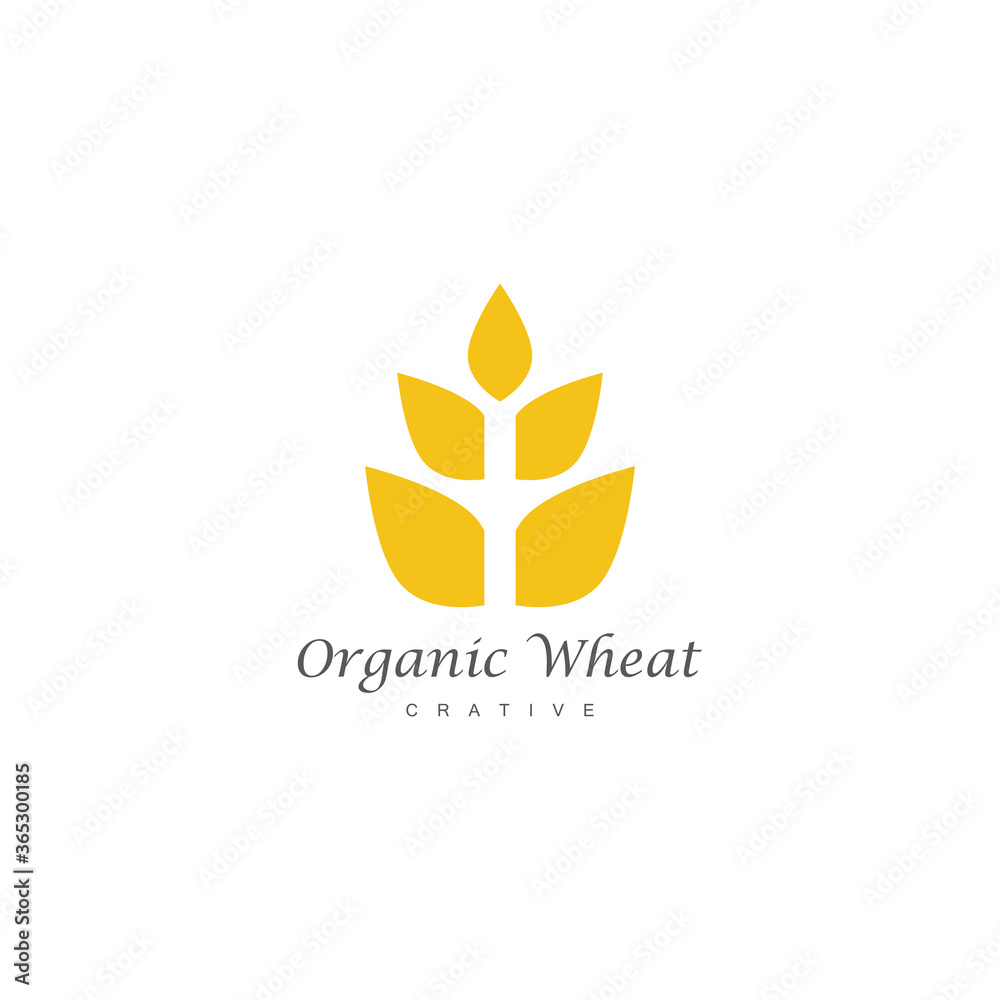 Wheat Logo Template vector symbol Wheat Logo Template vector symbol