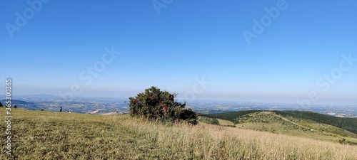 landscape with trees and blue sky  Camerino  Italy