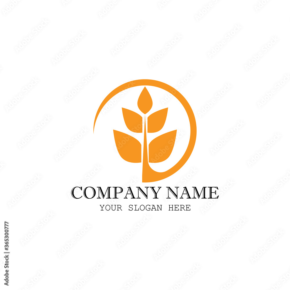Wheat Logo Template vector symbol Wheat Logo Template vector symbol