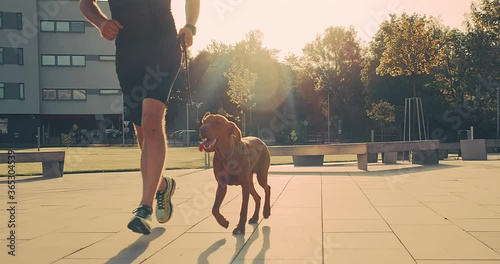 Silhouettes of runner and dog on city street under sunrise sky in morning time. Outdoor walking. Athletic young man with his dog are running in town. SLOW MOTION CLOSE UP, 4K video