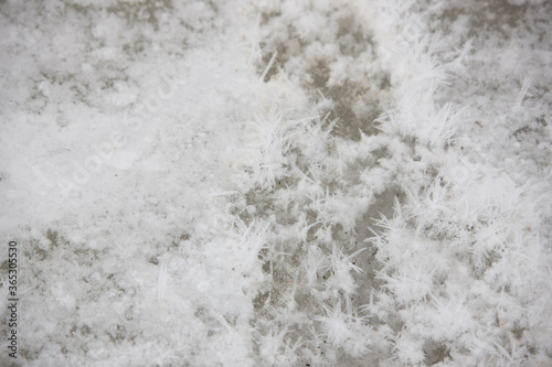 Antarctica large snowflakes close up on a cloudy winter day