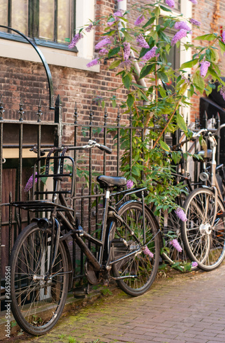 Bicycles parked near the wall of an old building