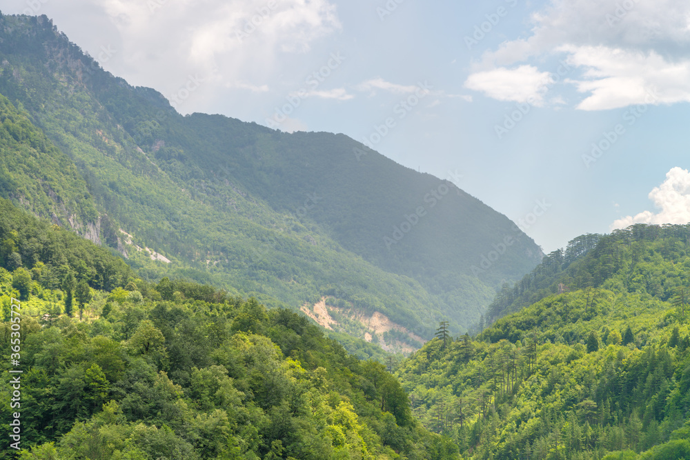 Fototapeta premium Odległe góry pokryte zielonym lasem o wschodzie słońca