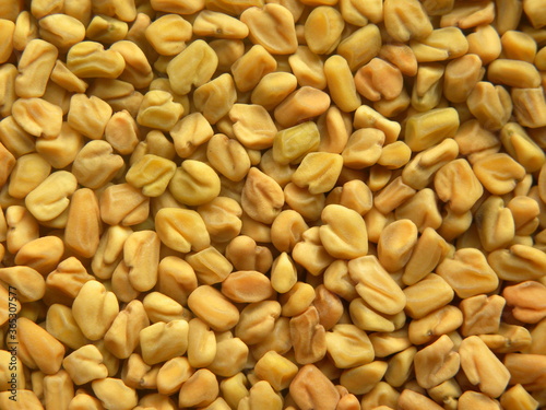 Yellow color dry Fenugreek seeds